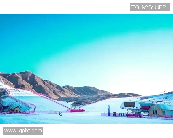 冰雪运动青年训练营助力未来冰雪人才培养与竞技水平提升